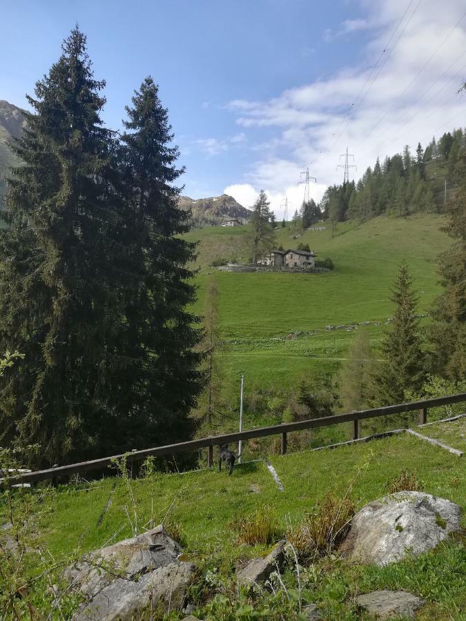 Hotel Adler Foppolo Esterno foto